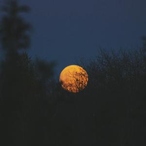 国产伦子伦视频免费播放
